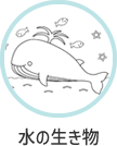 水の生き物