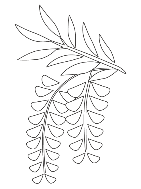 無料の藤 フジ のぬりえ ぬりえパーク