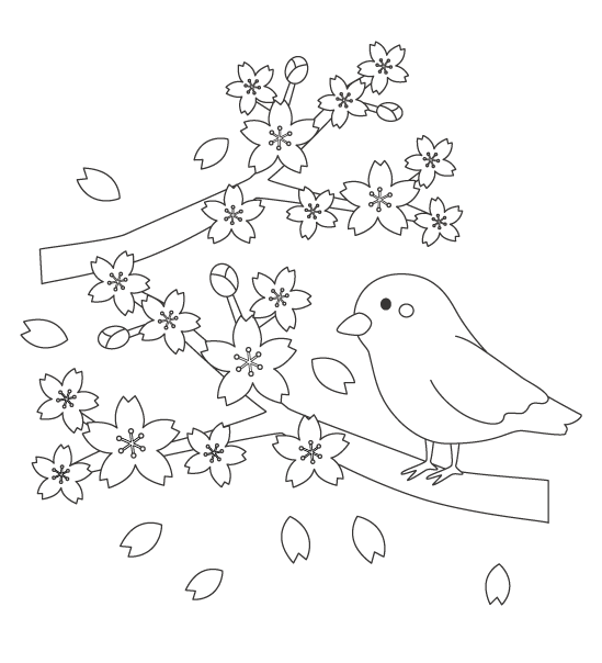 桜と鳥のぬりえイラスト
