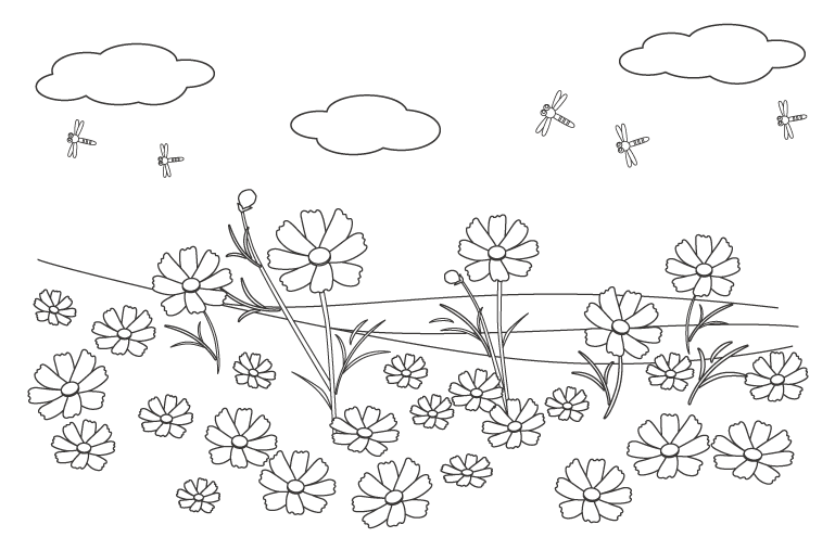 コスモス畑にトンボが飛んでいる風景のぬりえ