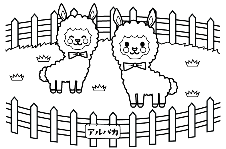動物園のアルパカのぬりえ