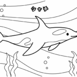 水族館のシャチのぬりえ