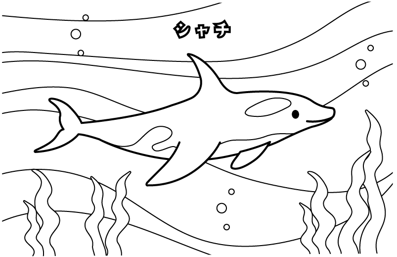 水族館のシャチのぬりえ