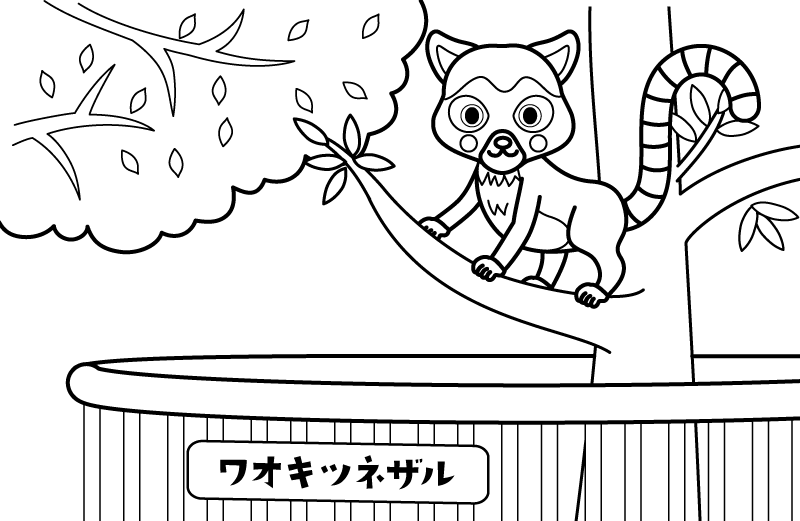 動物園のワオキツネザルのぬりえ