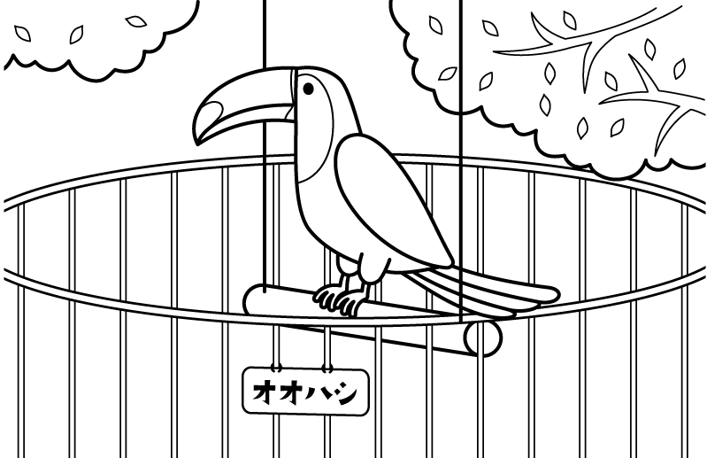 動物園のオオハシのぬりえ