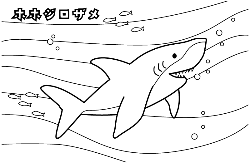 水族館のホホジロザメのぬりえ