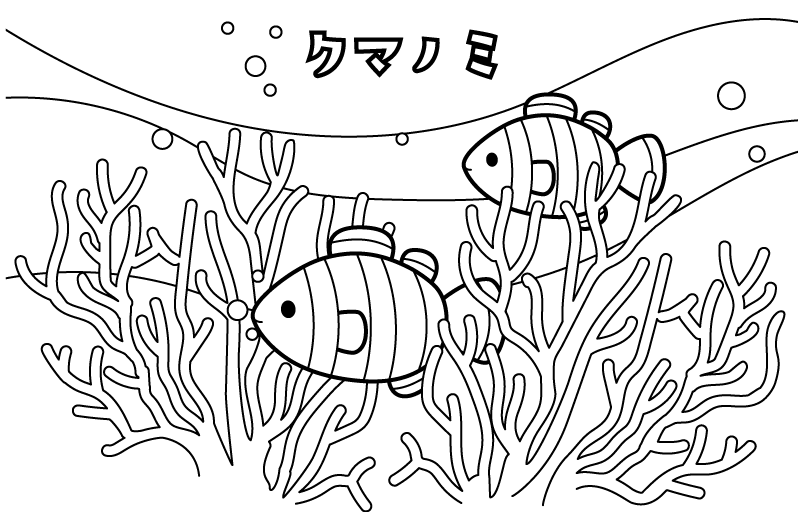 カクレクマノミのぬりえ