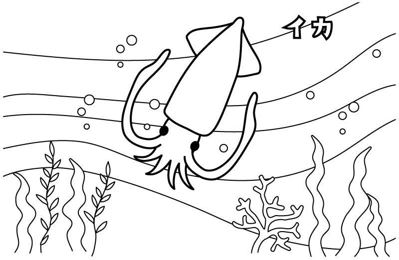 泳いでいるイカのぬりえ