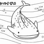 水族館のジンベイザメのぬりえ
