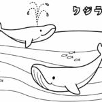 クジラのぬりえ