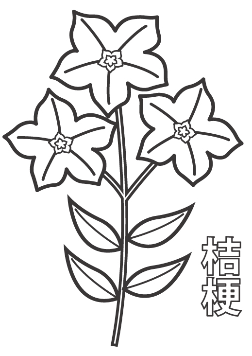 ききょうの花のぬりえ