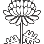 菊の花のぬりえ