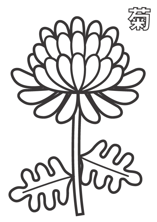 菊の花のぬりえ