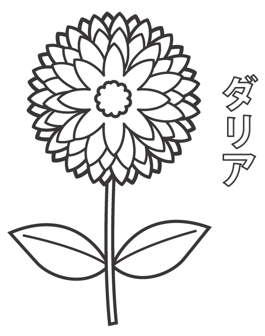 ダリアのぬりえ