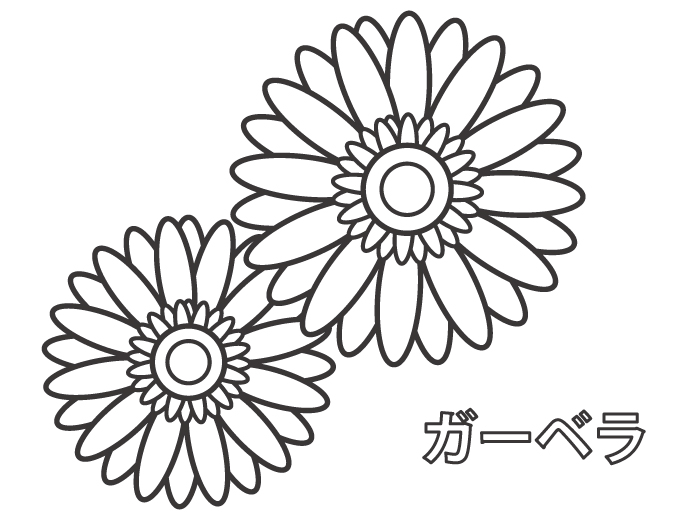 ガーベラのぬりえ