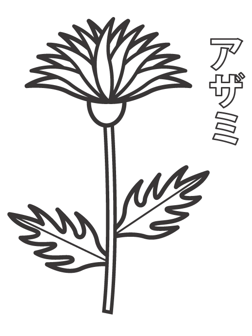 アザミのぬりえ