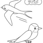 ツバメのぬりえ