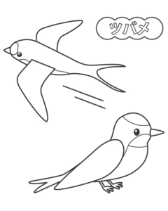 ツバメのぬりえ