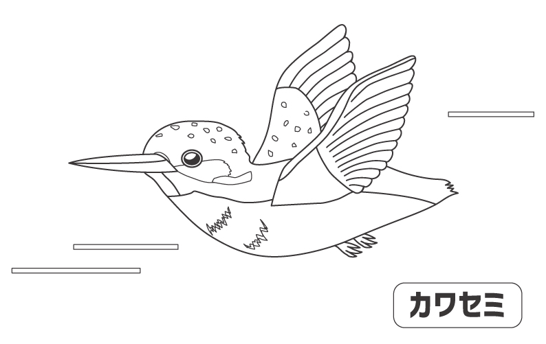飛翔するカワセミのぬりえ