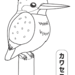 カワセミのぬりえ