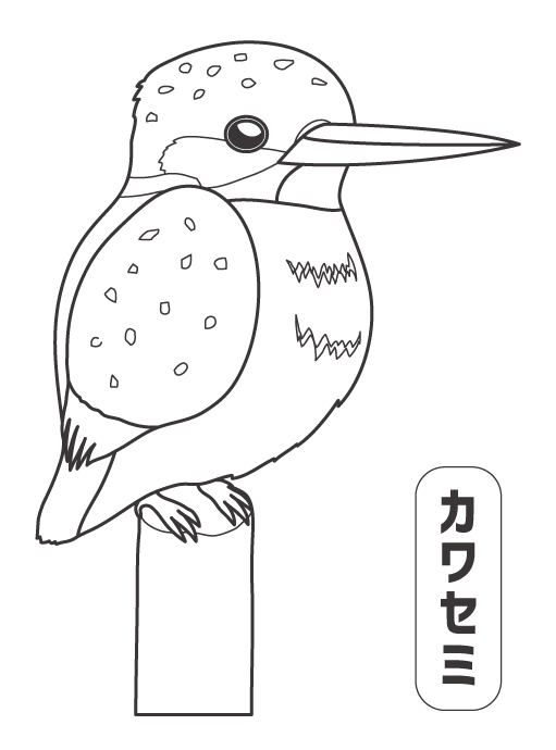カワセミのぬりえ