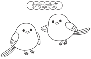 シマエナガのぬりえ