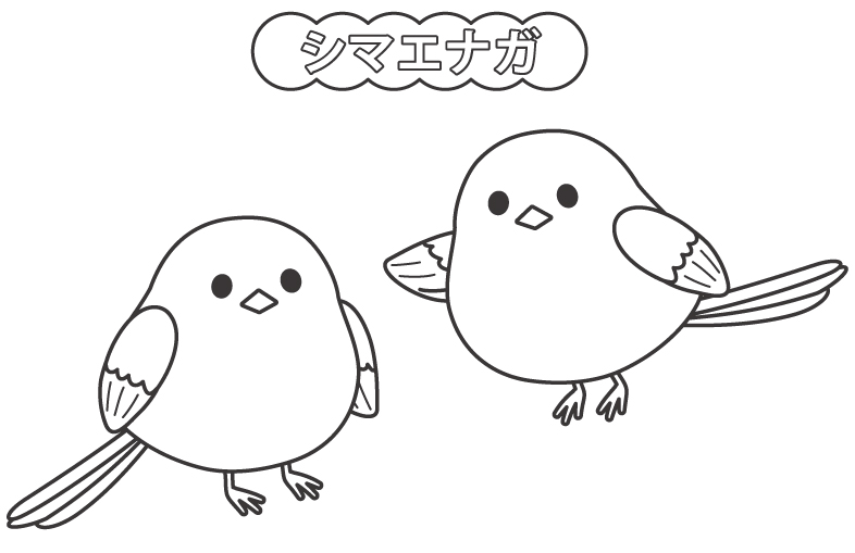 シマエナガのぬりえ