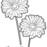 ガーベラの花のぬりえ