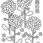 菜の花のぬりえ