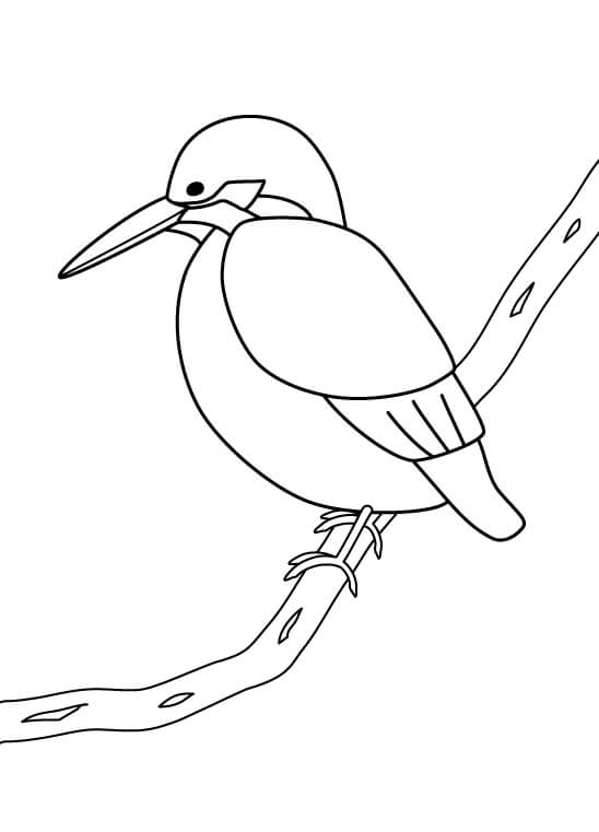 枝にとまっているカワセミのぬりえ