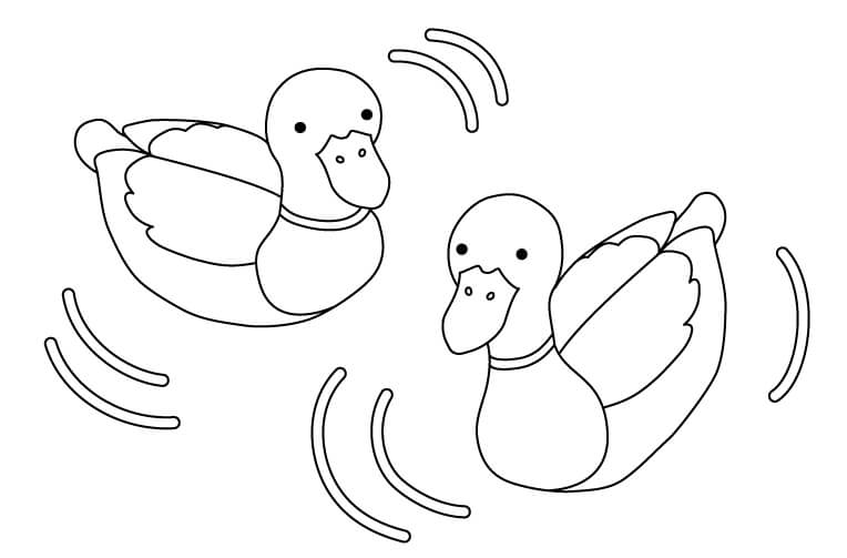 ぷかぷかと浮いているカルガモのぬりえ