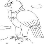 オオワシのぬりえ